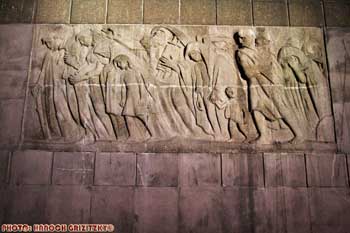IMG_ (10652)